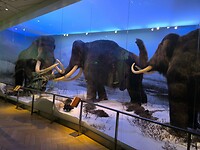 IMG_20250610_121728
