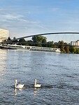 IMG_20250906_074948