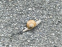 IMG_20250906_085138