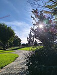 IMG_20250907_091046