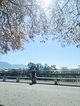 IMG_20250907_141405