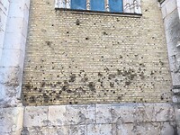 IMG_20260131_100851