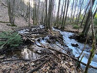 IMG_20260227_100712