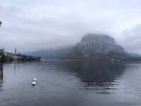 IMG_20251205_094213