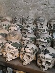IMG_20251205_113843