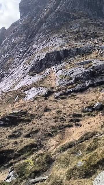 VID_20260403_130138