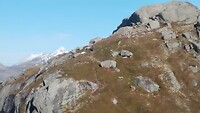 VID_20260410_134303