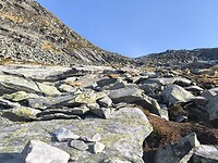 IMG_20260416_110715