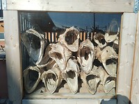 IMG_20260417_131034