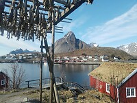 IMG_20260417_160910