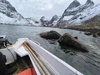 IMG_20260428_182057