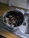 IMG_20260428_200152