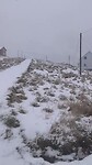 VID_20260426_083949