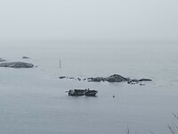 IMG_20260430_121537