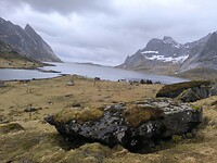 IMG_20260501_152937