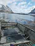 IMG_20260505_130505