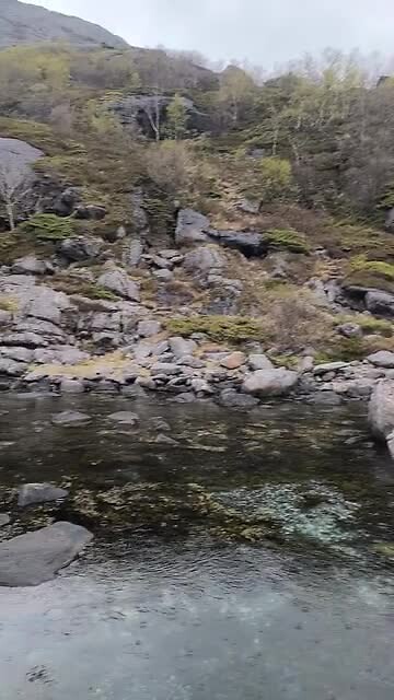 VID_20260510_135817