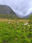 IMG_20260527_194947