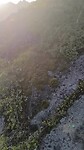 1000053389
