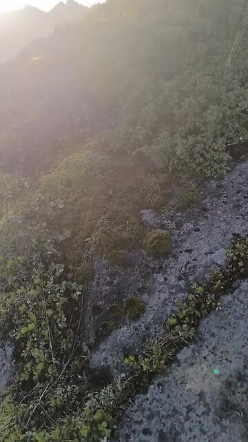 1000053389