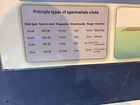 1000056570