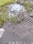 1000056808