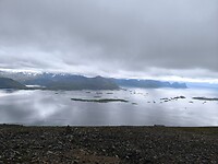 1000056911