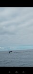1000057112
