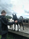IMG_20260718_105451