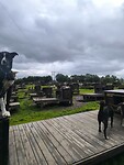 IMG_20260718_110122