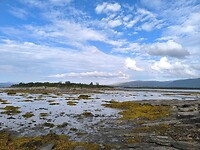 IMG_20260727_170757