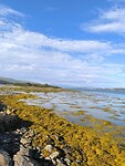 IMG_20260727_173940