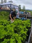 IMG_20260728_142833