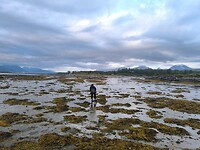 IMG_20260729_211813