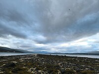 IMG_20260729_214416