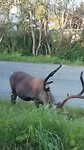 VID_20260813_174349