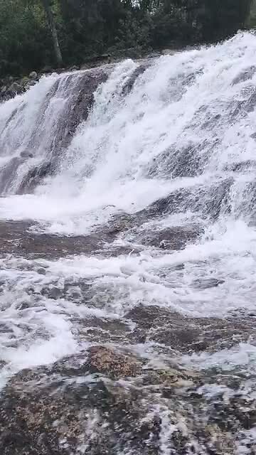 VID_20260816_122238