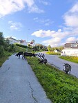 IMG_20260813_174207