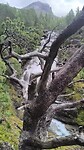 VID_20260823_124716