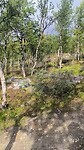 VID_20260822_153902