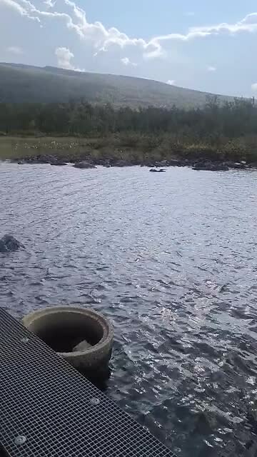 VID_20260822_152812