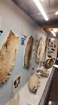 VID_20260828_141311