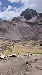 1000067775