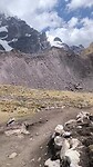1000067774