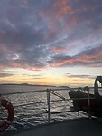 IMG_1647