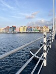 IMG_1873