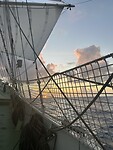 IMG_4511