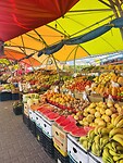 IMG_1936