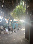 IMG_1901