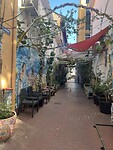 IMG_1938